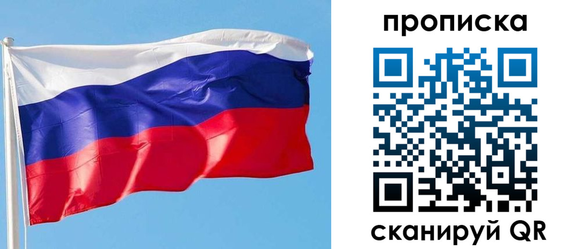 прописка поиск в Сланцах